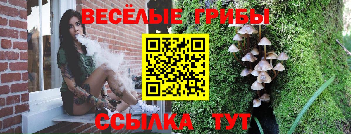 Галлюциногенные грибы ЛСД Карачаевск