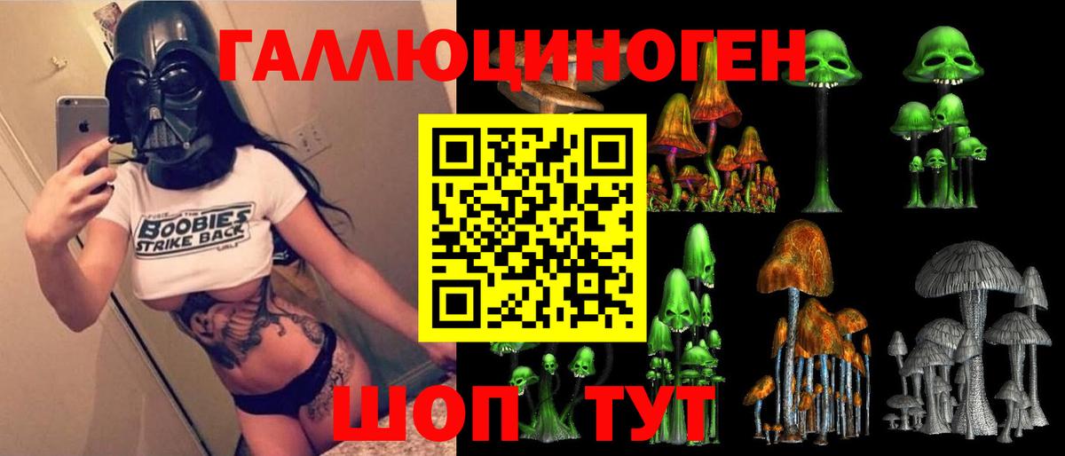 Канабис Карачаевск