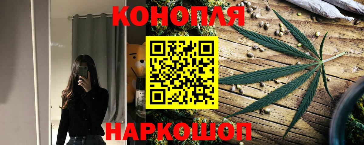 Конопля гибрид Карачаевск